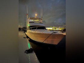 1992 Viking Convertible for sale
