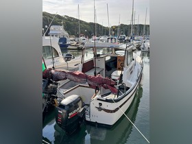 1991 Hardy Pilot 20 for sale