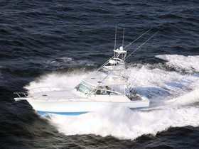 1999 Viking Express