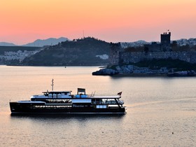 Купить 2011 Custom Passenger Cruise Ship