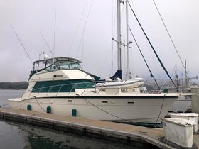 Hatteras Sportfisher