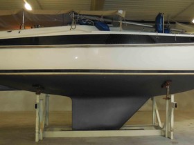 Sailboat Beryll 31