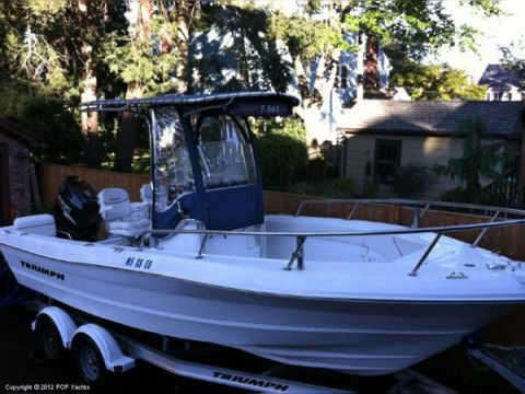 Buy 2008 Triumph 210