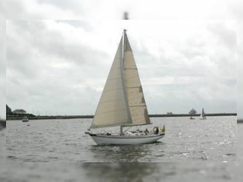 Tradewind 35