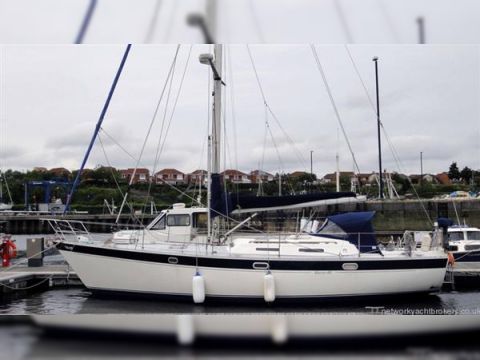 Buy 1989 Warrior 40