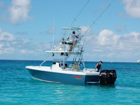 Bluewater Sportfishing 2850