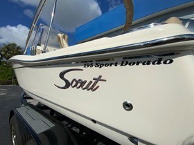 Buy 2023 Scout 195 Sport Dorado