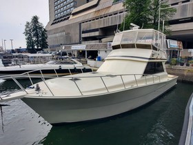 1989 Viking Convertible for sale