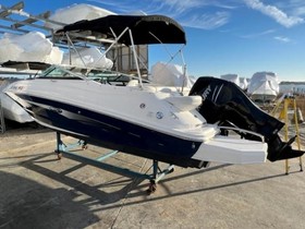 Buy 2015 Sea Ray 220 Sundeck Outboard