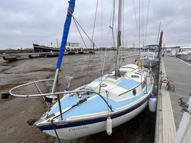 Buy 1966 Westerly 25