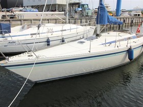 Luffe Yachts 37