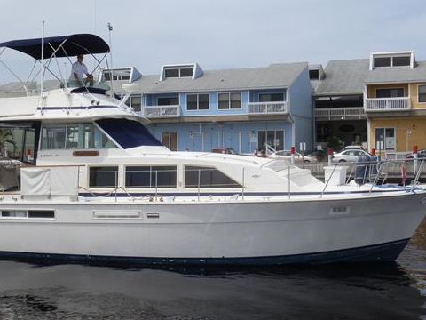 Bertram 42