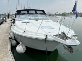 Buy 1991 Bertram Yachts 34