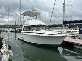 Bertram Yachts 33