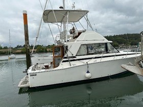 1978 Bertram Yachts 33 te koop