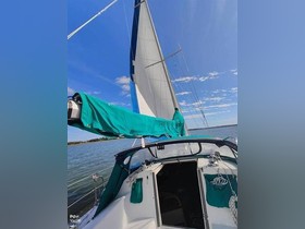 1995 Catalina Yachts 32 for sale