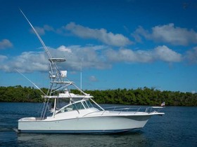 Buy 2006 Luhrs 38 Open
