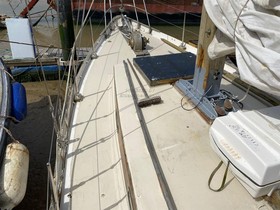 Kjøpe 1959 Cardinal Sloop Cruiser