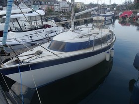 Newbridge Navigator 19 for sale