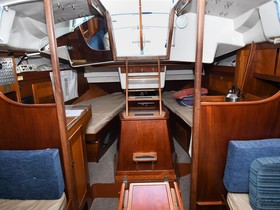 1979 Forgus 31 for sale
