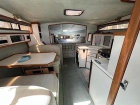 1989 Sea Ray Boats Sundancer