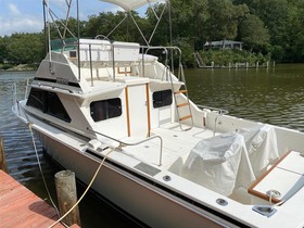 1990 Bertram Yachts 28 for sale