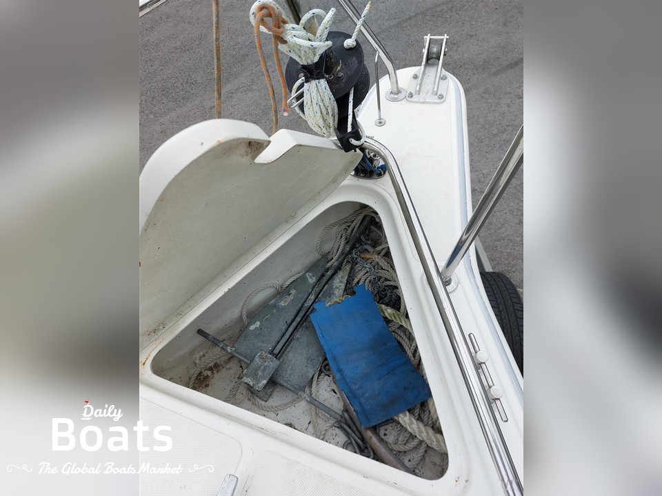 2003-sasanka-yachts-viva-600-for-sale-view-price-photos-and-buy-2003