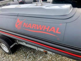 Купить 2018 Narwhal Inflatable Craft 670 Hd