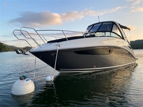 Købe 2021 Sea Ray Boats 265 Sundancer