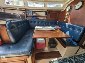 Buy 1984 Catalina Yachts 30