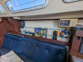 1984 Catalina Yachts 30 za prodaju