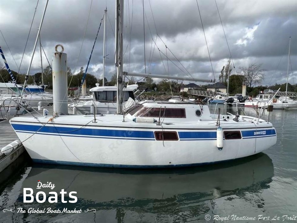 1996 Wrighton Biloup 77