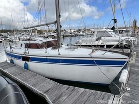 1996 Wrighton Biloup 77