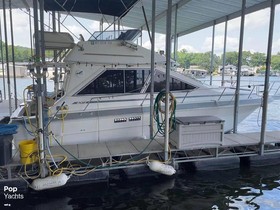 1988 Sea Ray Boats 305 for sale