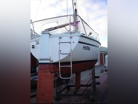 Buy 1978 Mallard Start 7