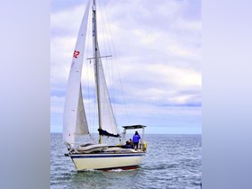 1984 Friendship 35 for sale