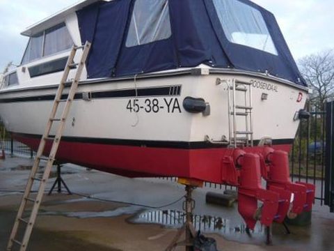 Buy 1981 Cleopatra 875