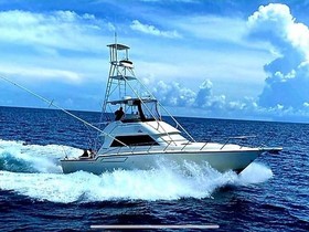 Buy 1990 Tiara Yachts 4300