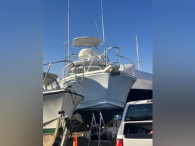2001 Cabo Boats 31 Express for sale