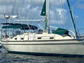 2000 Island Packet Yachts 27 satın almak