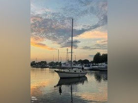 Bayfield 29