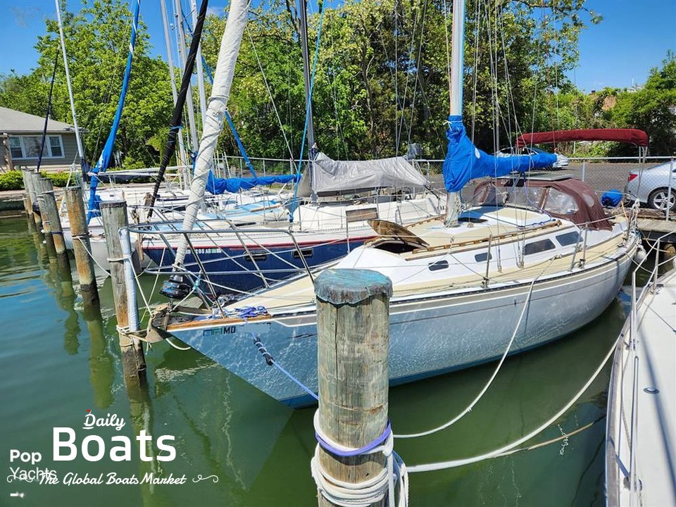 32' sailboats for sale