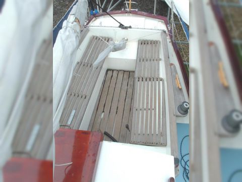 Buy 1973 Dutch Dandy 27