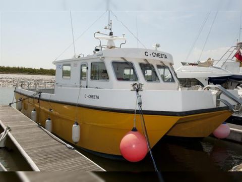 Blyth Cat 11M
