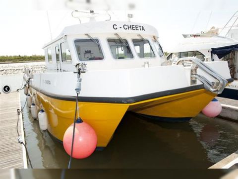Buy 2007 Blyth Cat 11M
