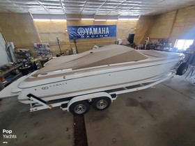 Buy 2001 Cobalt Boats 262