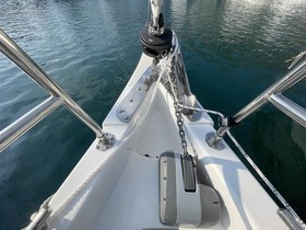 2022 Viko Yachts 35 en venta