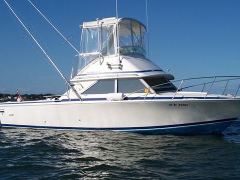 Bertram Sport Fisherman