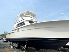 Buy 1995 Bertram Yachts 43