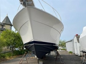 Buy 1995 Bertram Yachts 43